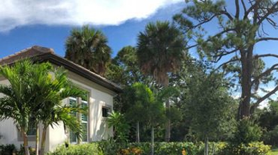 Service lawn and ornamentals Photo